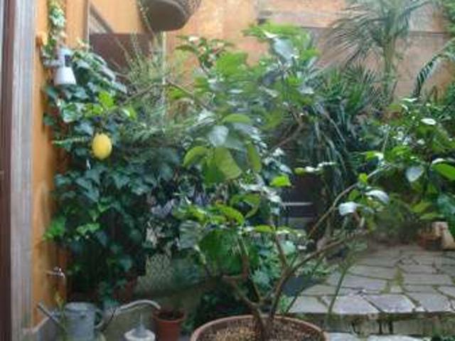 Bilocale arredato Trastevere, aventino, testaccio