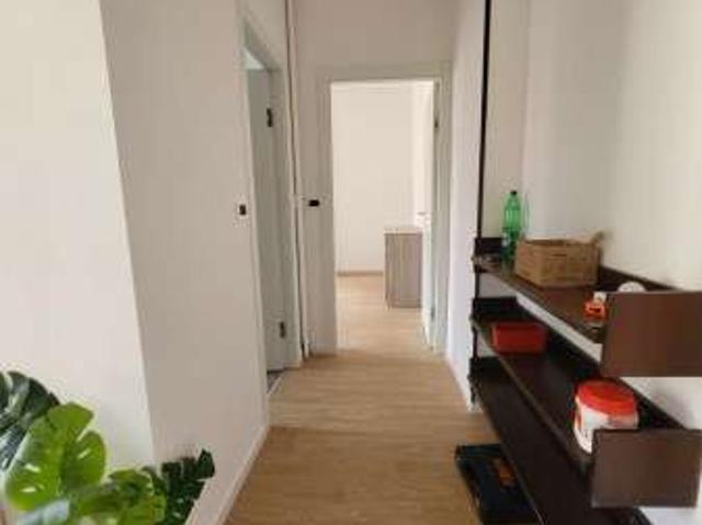 Bilocale arredato Affori, bovisa, niguarda, testi