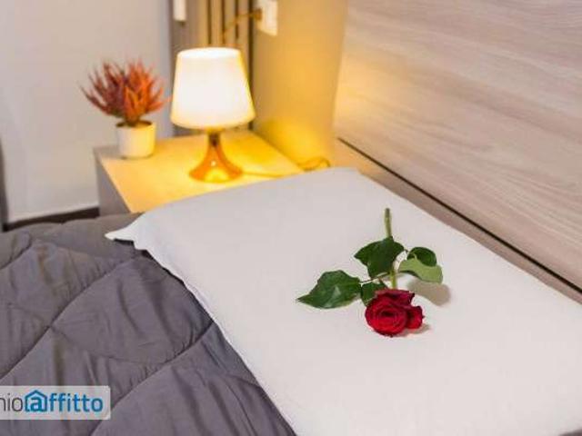Bilocale arredato Alessandria