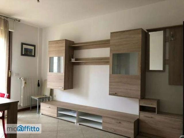 Bilocale arredato con terrazzo Collegno
