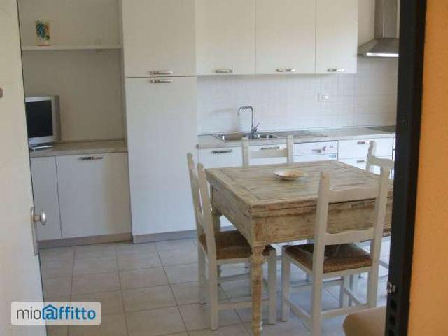 Bilocale arredato con terrazzo Castagneto Carducci