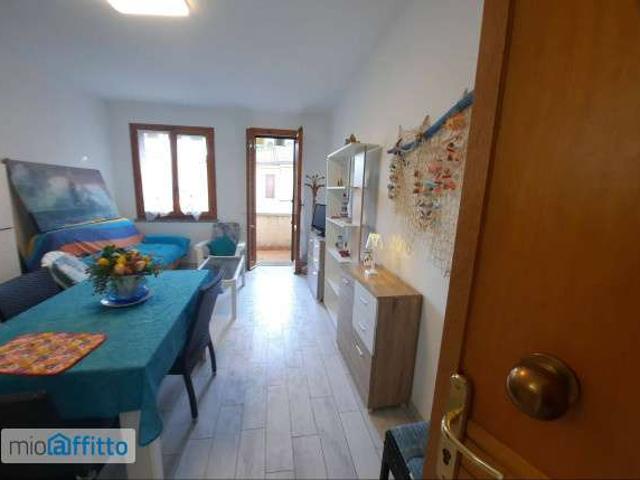 Bilocale arredato con terrazzo Cecina