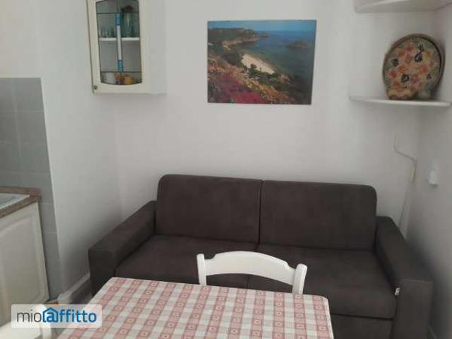 Bilocale arredato con terrazzo Centro