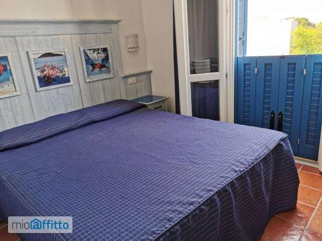 Bilocale arredato con terrazzo Centro