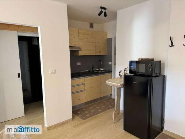 Bilocale arredato con terrazzo Centro