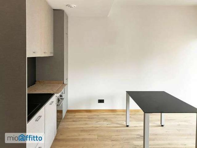Bilocale arredato con terrazzo Centro
