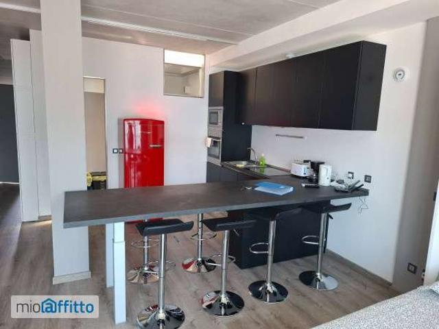 Bilocale arredato con terrazzo Centro