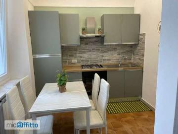 Bilocale arredato con terrazzo Centro