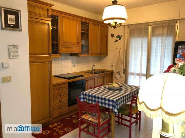 Bilocale arredato con terrazzo Centro