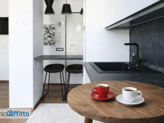 Bilocale arredato con terrazzo Città studi, lambrate, udine, loreto