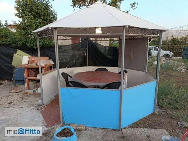 Bilocale arredato con terrazzo Ardea