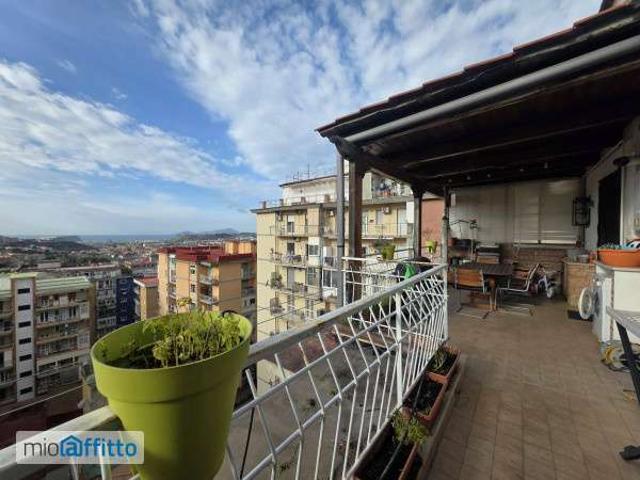 Bilocale arredato con terrazzo Arenella