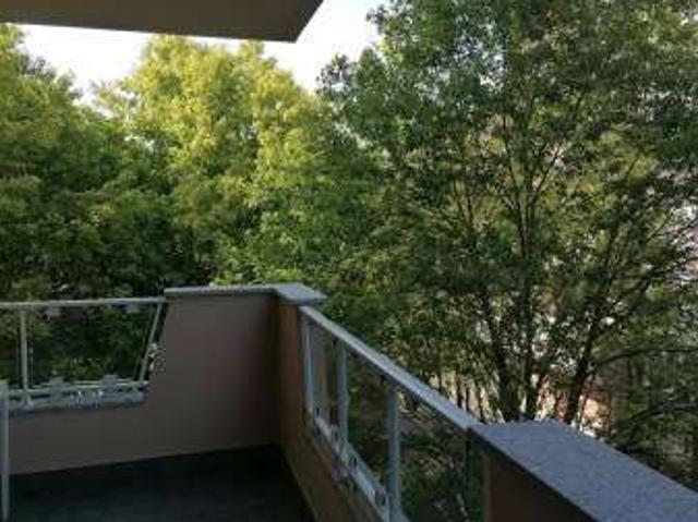 Bilocale arredato con terrazzo Assago