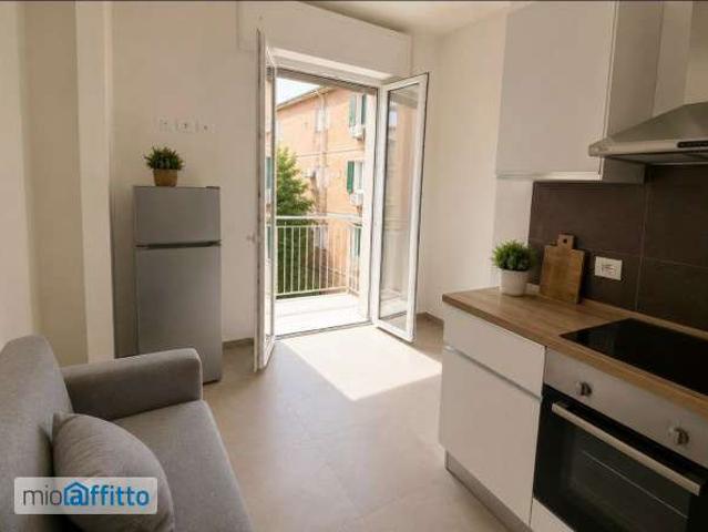 Bilocale arredato con terrazzo Bolognina