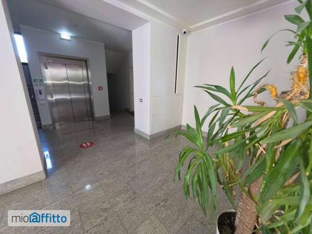 Bilocale arredato con terrazzo Borgo panigale