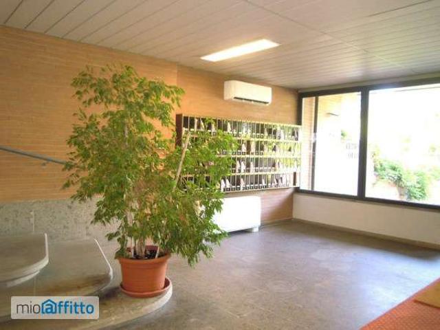 Bilocale arredato con terrazzo Giustiniana, olgiata, cesano