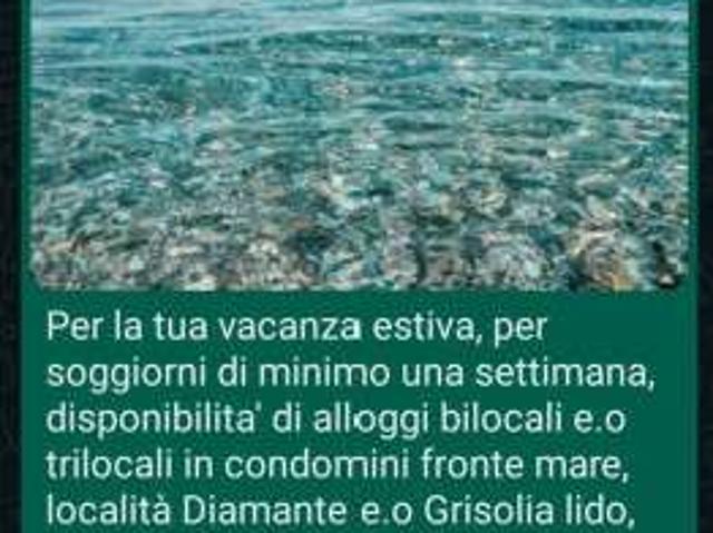 Bilocale arredato con terrazzo Grisolia