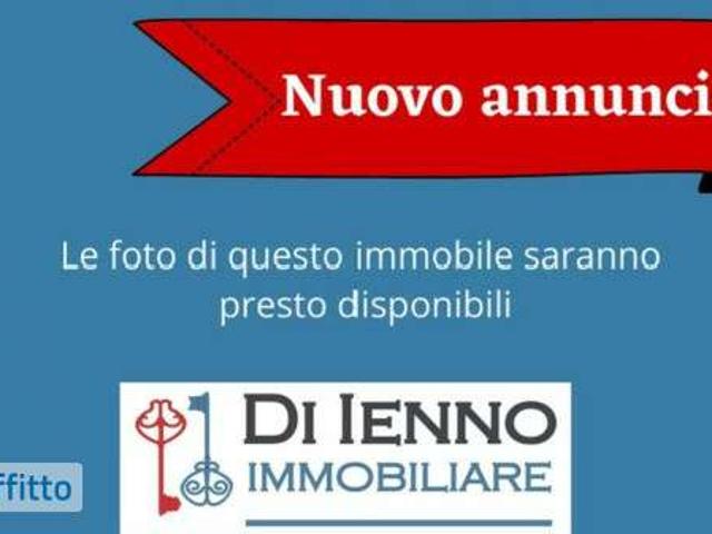 Bilocale arredato con terrazzo Flaminio, fleming, vigna clara, camilluccia
