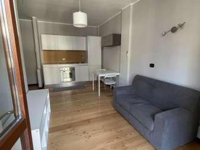 Bilocale arredato con terrazzo Laghetto