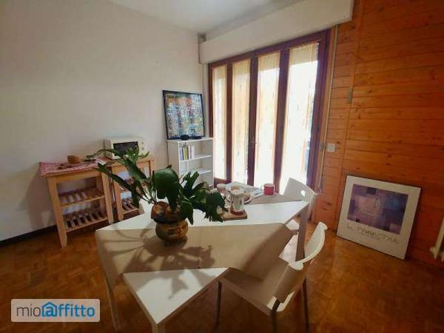 Bilocale arredato con terrazzo Mirano paese