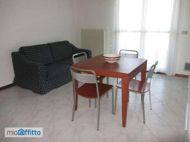 Bilocale arredato con terrazzo Mirano paese