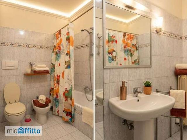 Bilocale arredato con terrazzo San salvario