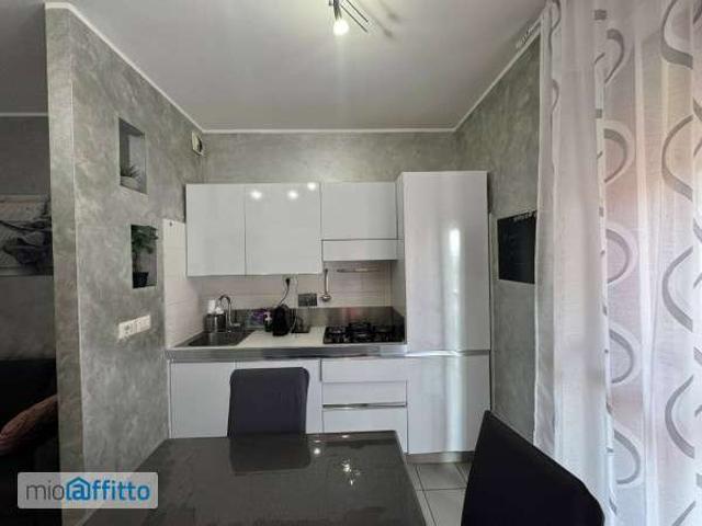 Bilocale arredato con terrazzo Settimo Torinese