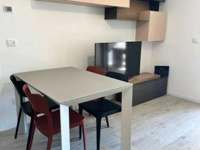 Bilocale arredato con terrazzo Trieste, salario