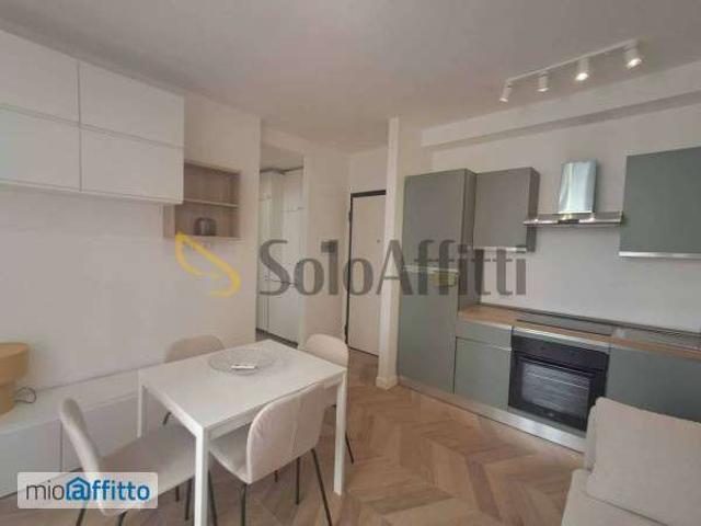 Bilocale arredato con terrazzo Trieste, salario