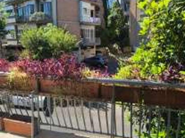 Bilocale arredato Flaminio, fleming, vigna clara, camilluccia