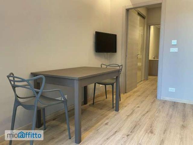 Bilocale arredato Lingotto