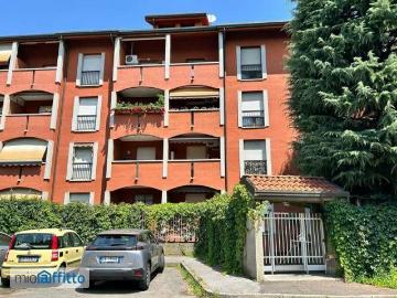 Mazzo, Monza e Brianza, Lombardia - Cantina