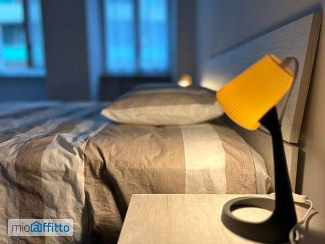 Bilocale arredato Mirafiori nord