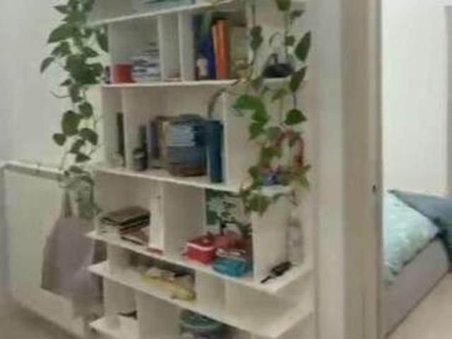 Bilocale arredato Parioli, pinciano