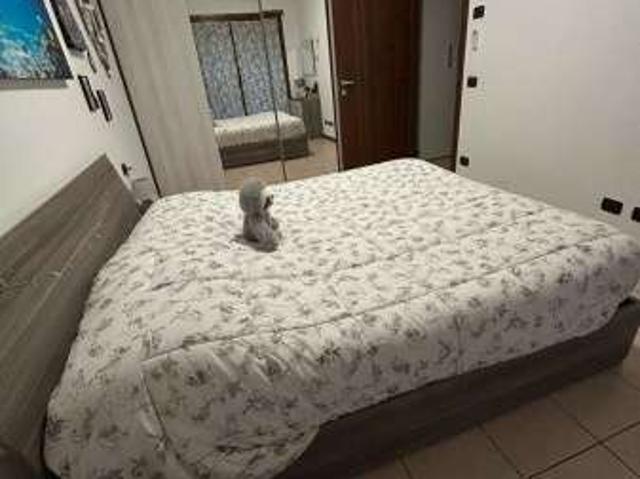 Bilocale arredato San maurizio al lambro