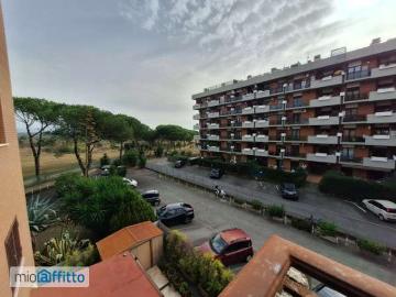 Bilocale arredato Settebagni, salaria