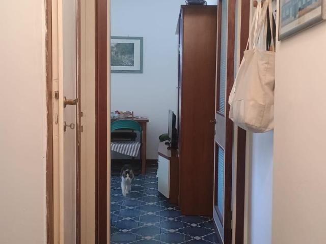 Bilocale in vendita, Viareggio città giardino