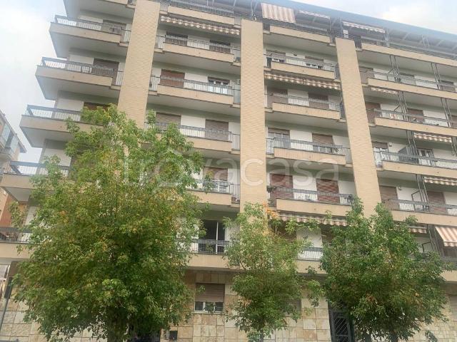 Bilocale in affitto a Collegno via Pasubio, 10, Borgata Paradiso Sud