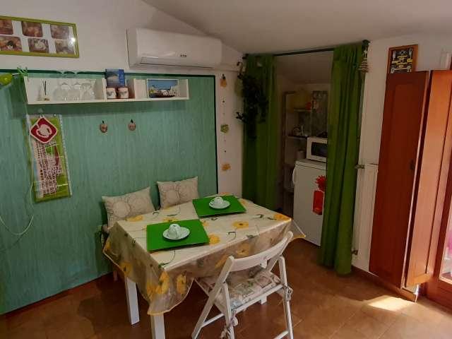 Bilocale in affitto a Fiumicino