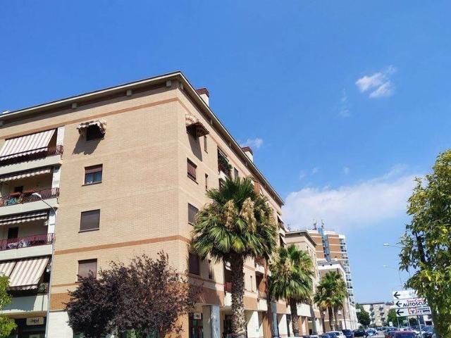 Bilocale in affitto a Latina