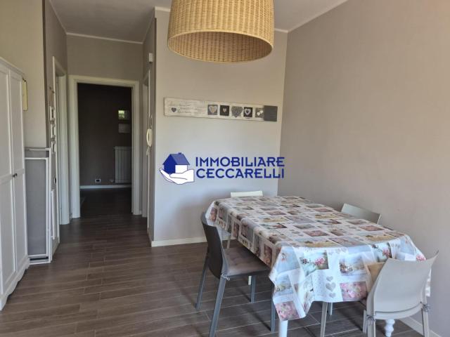 Bilocale in affitto a Massa, case in affitto Massa