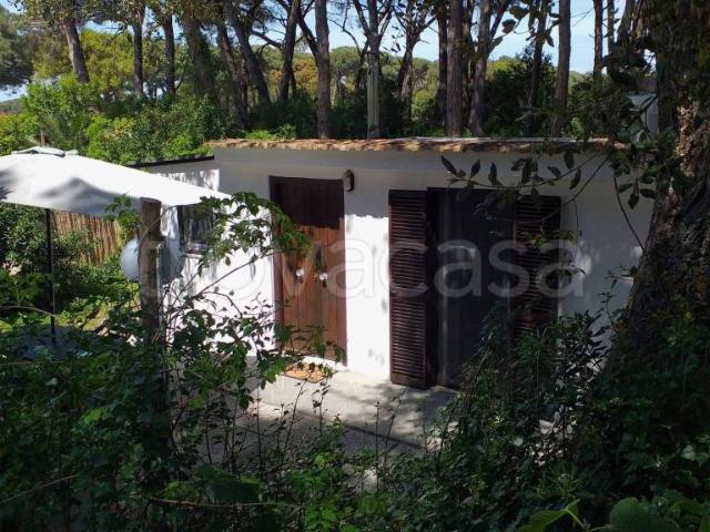 Bilocale in affitto a Sabaudia strada Palazzo