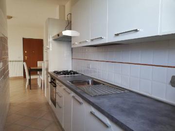 Roma, Roma Lazio, Lazio - Giardino, Cantina