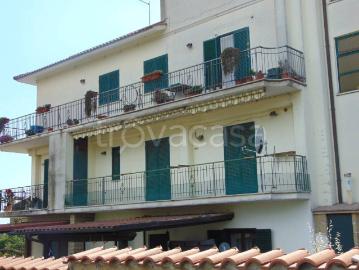 Bilocale in affitto a Roma, Falcognana