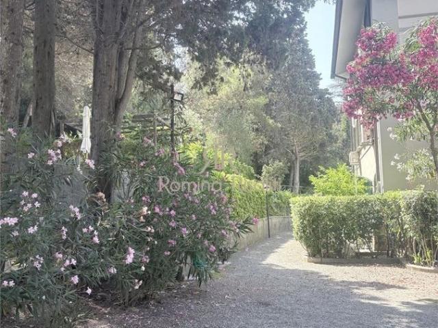 Bilocale in affitto a Rosignano Marittimo