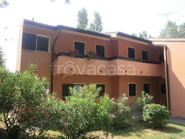 Bilocale in affitto a Rosolina via Sesta Est, Isola Albarella