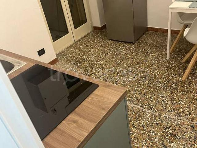 Bilocale in affitto a Torino via Tommaso Grossi, 21, San Salvario Dante