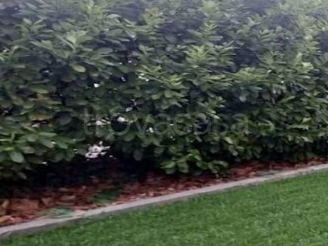 Bilocale in affitto a Vicenza, Viale Trieste Villaggio dei Fiori