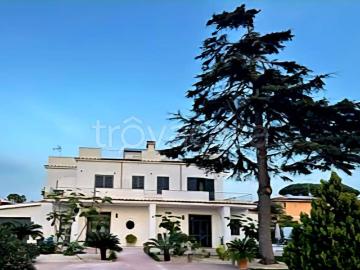 Bilocale in affitto ad Anzio, Villaggio Giornalisti Poggio
