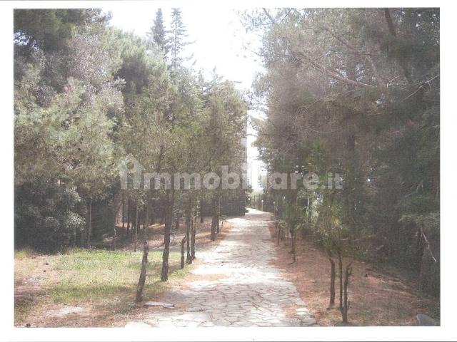 Bilocale Ss267, Pollica